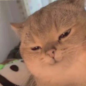 【天国拯救】仅存的绅士模组